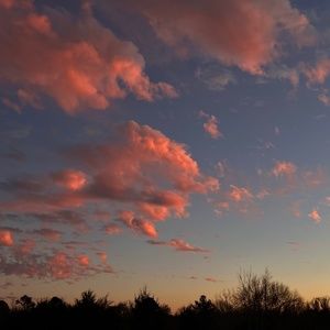 Meet your Posher, Raylee